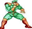 Mbison Mpgif — Super Street Fighter 2 Turbo (Character Colors) option 109