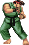Ryu Holdgif — Super Street Fighter 2 Turbo (Character Colors) option 114
