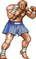 Sagat Hkgif — Super Street Fighter 2 Turbo (Character Colors) option 123