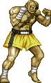 Sagat Holdgif — Super Street Fighter 2 Turbo (Character Colors) option 124