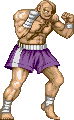 Sagat Lkgif — Super Street Fighter 2 Turbo (Character Colors) option 126