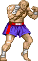 Sagat Old1gif — Super Street Fighter 2 Turbo (Character Colors) option 130