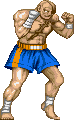 Sagat Old2gif — Super Street Fighter 2 Turbo (Character Colors) option 131