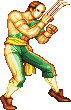 Vega Mpgif — Super Street Fighter 2 Turbo (Character Colors) option 149