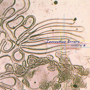 Zz1627630180corrective Errorsre Mix Of Funejpg — Susumu Hirasawa Albums (+ Other Projects) option 28