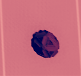 Cage Grenadepng — Tabg grenade list option 5
