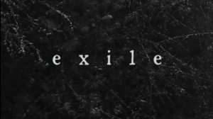 Img4332jpg — Taylor Swift Folklore Album option 4