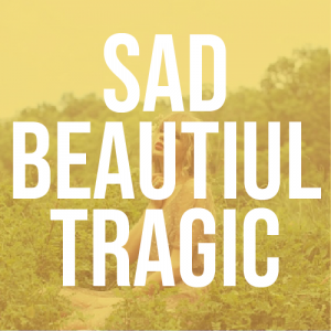 Red 65png — Taylor Swift Red Songs option 10