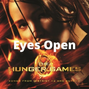 006ahungergamez00612district 1jpg — Taylor Swift Songs (As of June 2022) option 71
