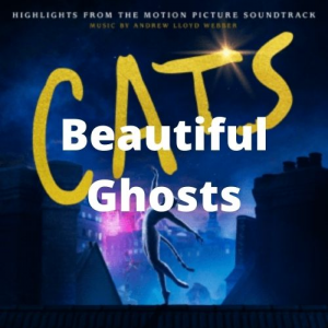 014catstim Mcgraw 2021 11 10t213711819jpg — Taylor Swift Songs (As of June 2022) option 152