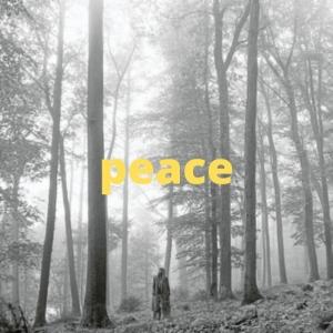 015folklore 2021 11 10t191111282jpg — Taylor Swift Songs (As of June 2022) option 169