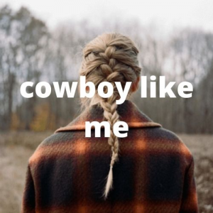 016evermore 2021 11 10t191416680jpg — Taylor Swift Songs (As of June 2022) option 182