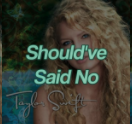 Screen Shot 2020 12 20 At 52349 Pmpng — taylor swift songs (through TLOAS) option 9