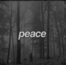 Screen Shot 2020 12 22 At 105706 Pmpng — taylor swift songs (through TLOAS) option 160