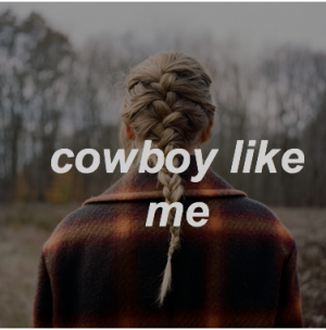 Screen Shot 2020 12 22 At 110723 Pmpng — taylor swift songs (through TLOAS) option 173