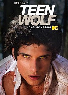 9202e03d 77b2 440e 831a 210d510630b4jpeg — Teen Wolf Seasons option 7