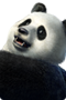 Pandapng — Tekken 6 - The Characters option 33