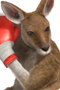 Rogerpng — Tekken 6 - The Characters option 36