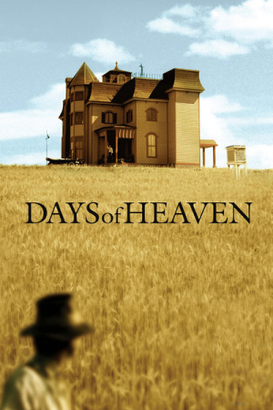 1978 Days Of Heavenjpg — Terrence Malick Filmography option 2