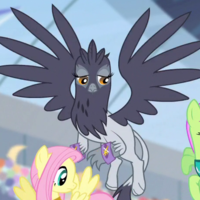 Gisellemy Little Pony Friendship Is Magicpng — Cartoon Crash Female Tier List option 258