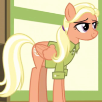 Maneallgoodmy Little Pony Friendship Is Magicpng — Cartoon Crash Female Tier List option 420
