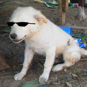 Zz1630071566fejpeg — Thai Youtuber option 14