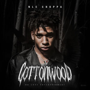 B72e0d17 Af7f 4884 856a 30f4f814e7bcjpeg — THE BEST HIP HOP RAP ALBUMS 2019-2020 option 37