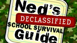 Nedsjpg — The Best Sitcoms option 46