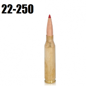 22 250png — The Bullet Tier List option 6