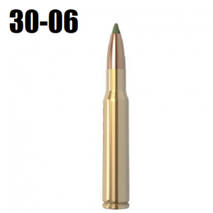 30 06png — The Bullet Tier List option 9