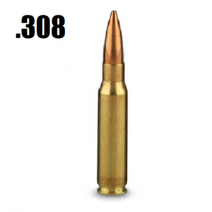 308png — The Bullet Tier List option 11