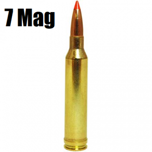 7magpng — The Bullet Tier List option 28