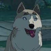 Avajfif — The Dragon Prince (Season 3 updated) option 4