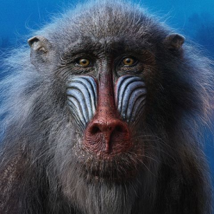 4d09f1a74c633a9aae84c85d00d5677ejpg — The Lion King Series Characters option 4