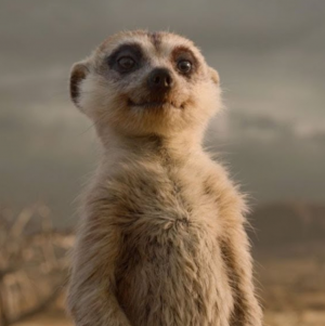 Screenshot20200507 025234jpg — The Lion King Series Characters option 30
