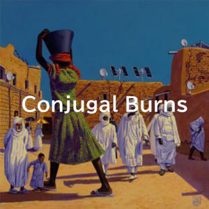 Conjugal Burnspng — The Mars Volta Songs option 12