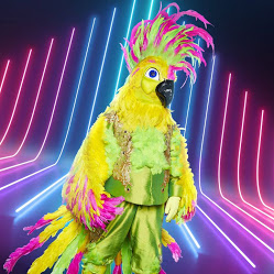 De 1 Cockatoojpg — The Masked Singer Big 4 option 16