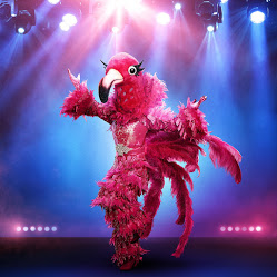 Us 2 Flamingojpg — The Masked Singer Big 4 option 61