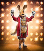 13226b3a C950 453e 9b8f C7a24b6d1955jpeg — The Masked Singer Costumes (Seasons 1-3) option 6