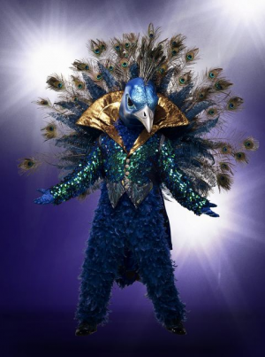 187354e2 6aa6 4c56 Bb14 8ae14d7c7f27jpeg — The Masked Singer Costumes (Seasons 1-3) option 9