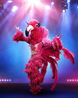1dc968a2 C8c5 4e4d 91e7 Ed301ba62b1bjpeg — The Masked Singer Costumes (Seasons 1-3) option 10