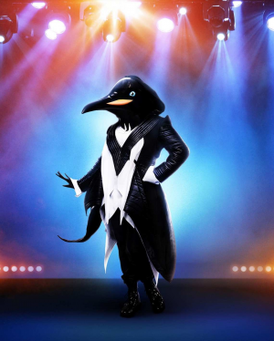 43651ad0 B7eb 4739 Bceb 8b2d3649ebf2jpeg — The Masked Singer Costumes (Seasons 1-3) option 13