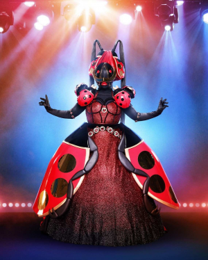 55465428 625c 4727 B6a1 73f9a6ff86eejpeg — The Masked Singer Costumes (Seasons 1-3) option 15