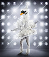 6b386257 8a19 4f4d 9ade 568d6f9355bajpeg — The Masked Singer Costumes (Seasons 1-3) option 19