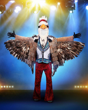 8315672b 9479 47dc B312 954e4f8f2cd8jpeg — The Masked Singer Costumes (Seasons 1-3) option 26