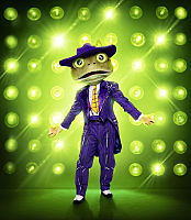 9e729e45 630a 4a65 B6bc 7fed89a8aa25jpeg — The Masked Singer Costumes (Seasons 1-3) option 31