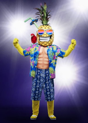 A1f2157c Ff53 4354 818f Bf7c5f3d8ed6jpeg — The Masked Singer Costumes (Seasons 1-3) option 32