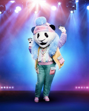 A717e10e Cbdb 4e68 Bdb4 A8c337815e11jpeg — The Masked Singer Costumes (Seasons 1-3) option 33