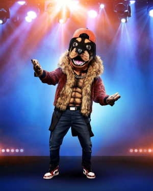 C0879bbc Cd65 431b A078 21596b4ef4c8jpeg — The Masked Singer Costumes (Seasons 1-3) option 37