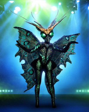Dec2ab96 Feec 41af Ace0 1631076bbd63jpeg — The Masked Singer Costumes (Seasons 1-3) option 39